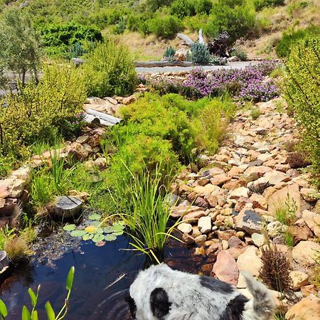 Roodekloof Leilighet Montagu Eksteriør bilde