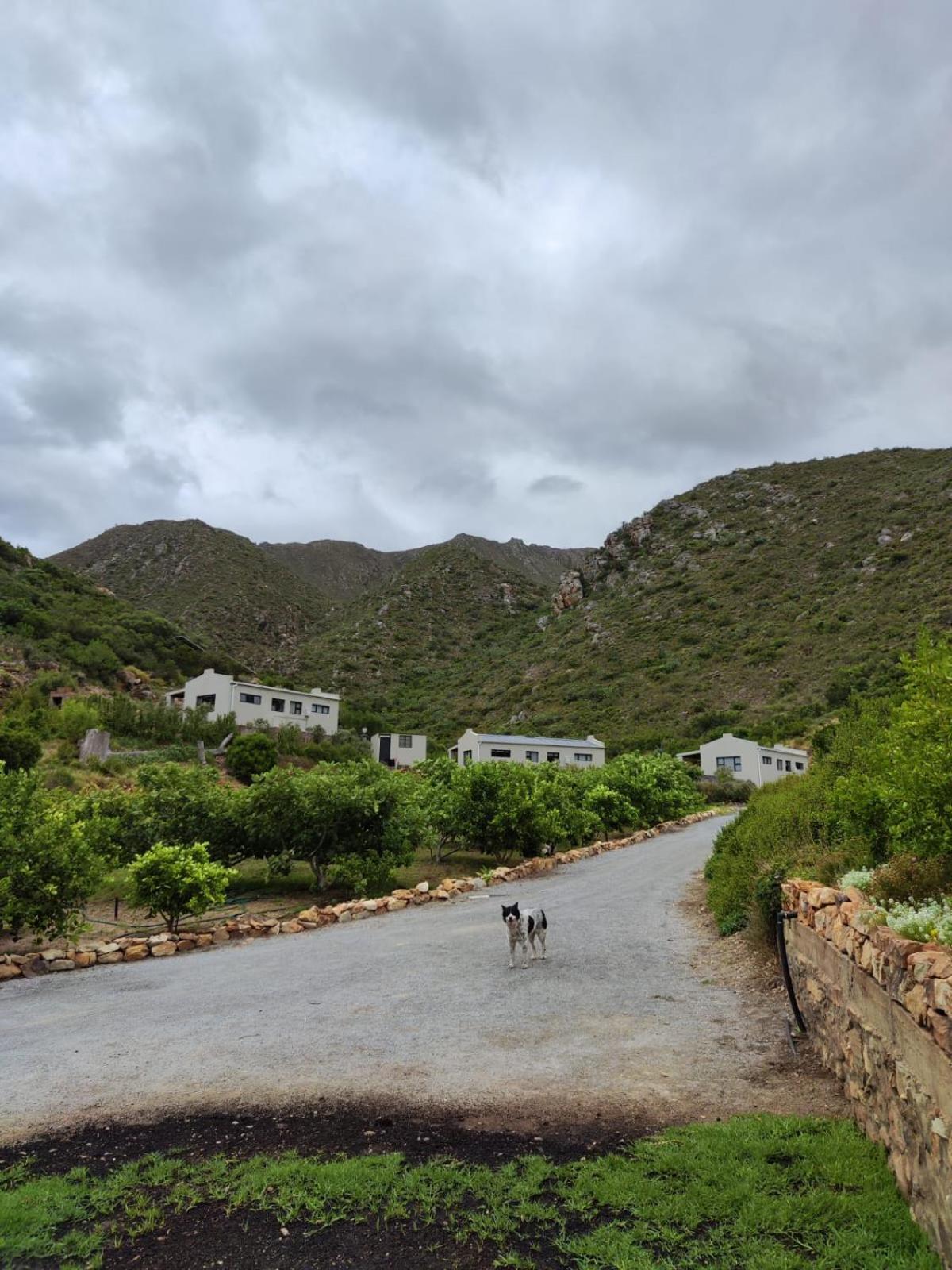 Roodekloof Leilighet Montagu Eksteriør bilde